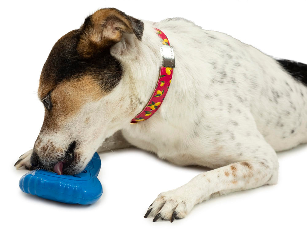 PetSafe centres-neige: points de fixation sécurisant la friandise pour un accès maîtrisé