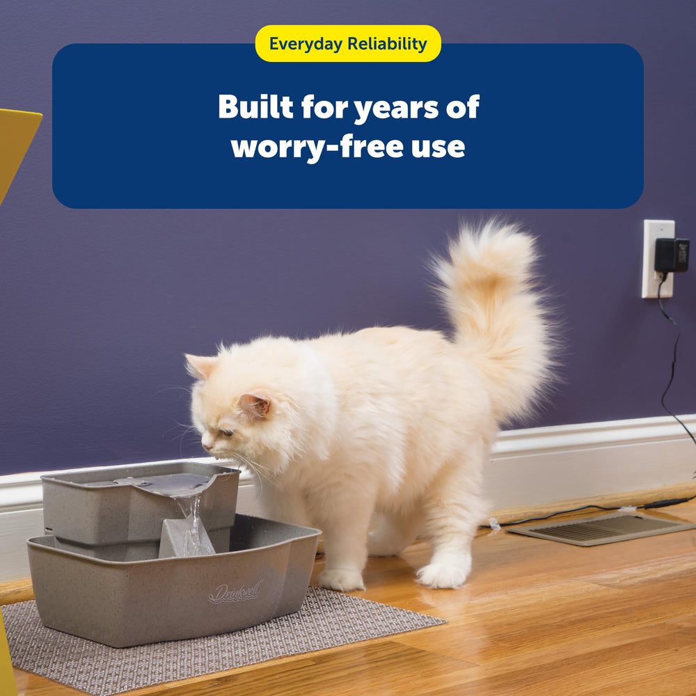 Hydratation ininterrompue pour votre animal grâce à PetSafe.