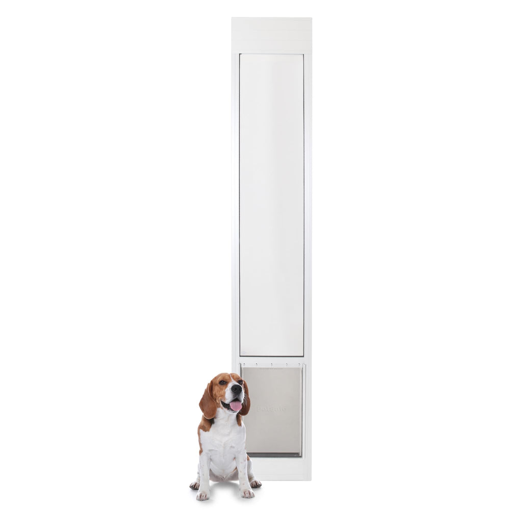 Porte PetSafe coulissante installée sans découpe, pratique pour location.