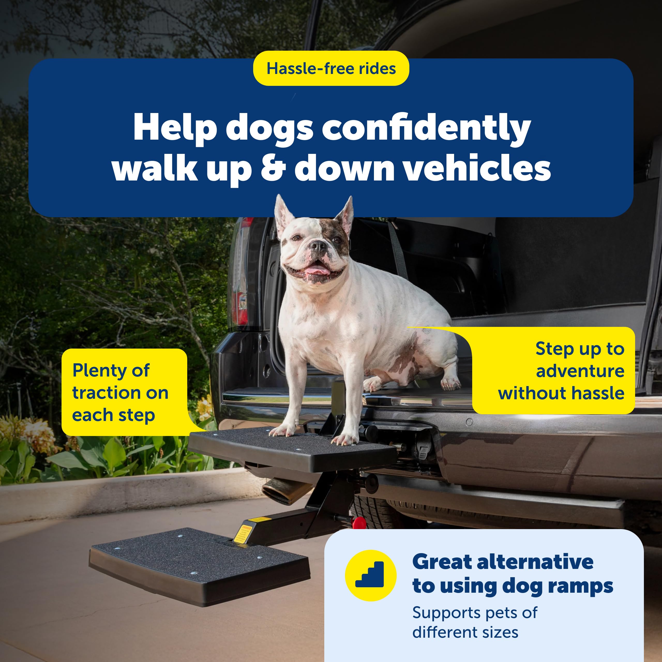 Aide pratique pour l'accès des chiens lors des trajets.