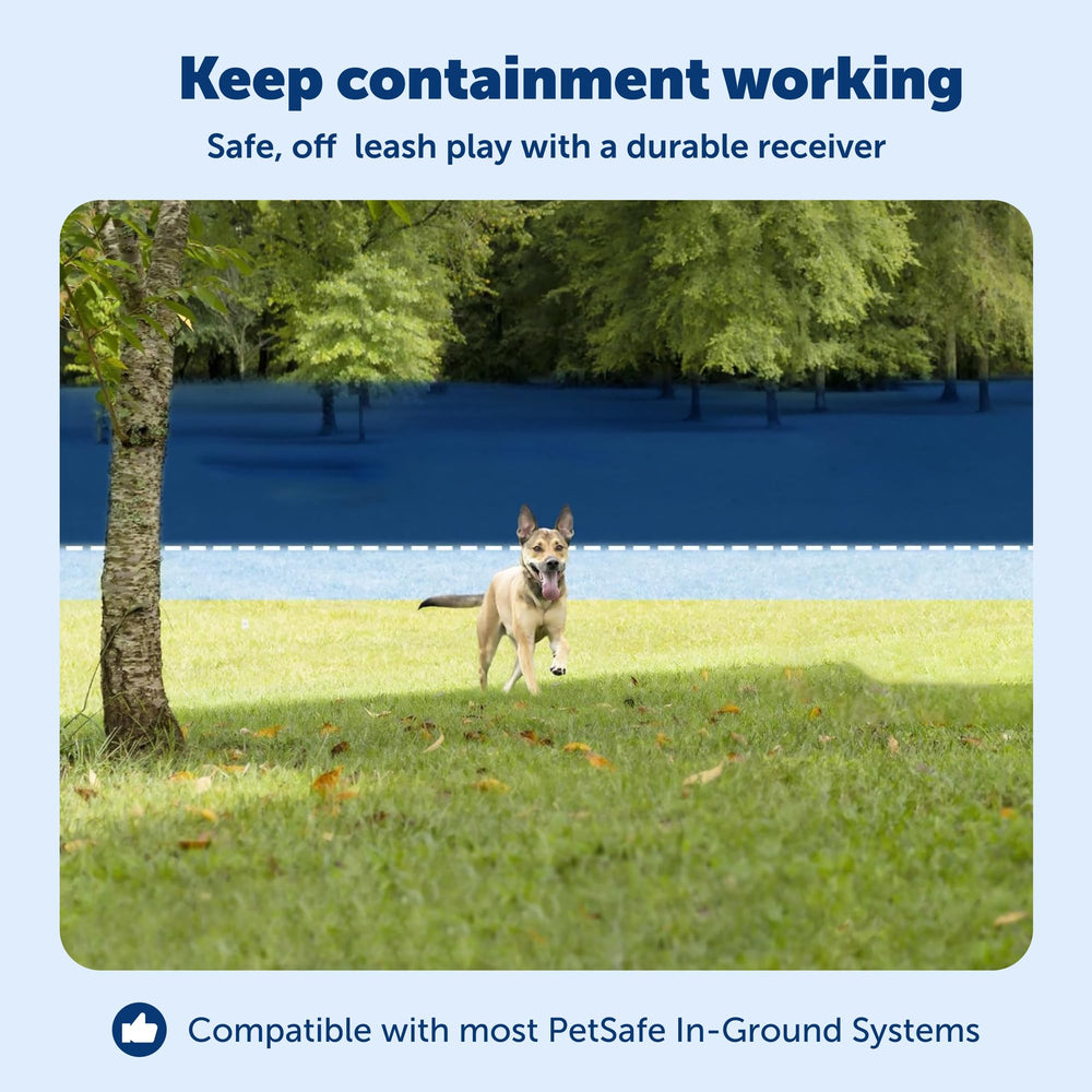 PetSafe montre quatre niveaux de correction et mode tonalité adaptés.