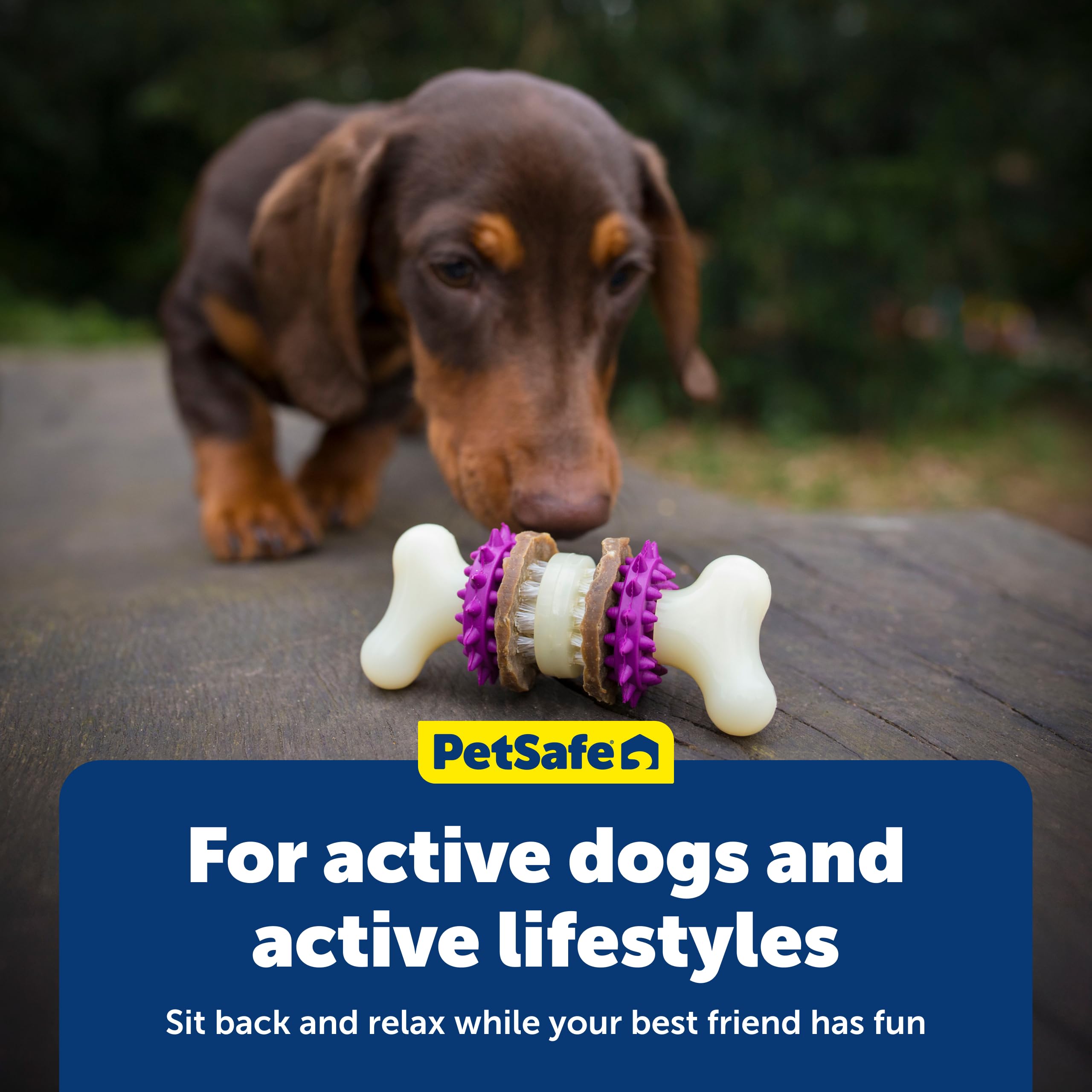 PetSafe Quatre tailles disponibles pour un ajustement adapté.