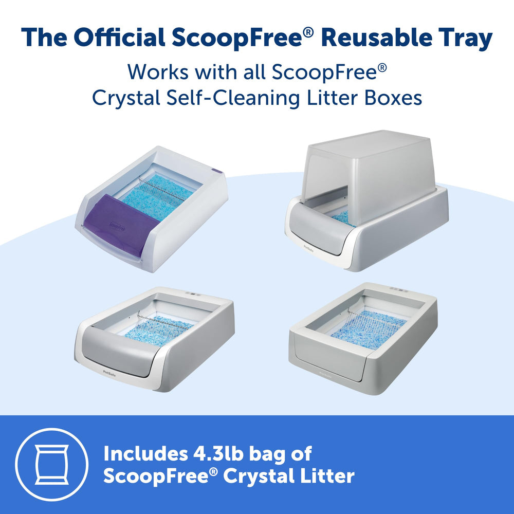 PetSafe ScoopFree cristal-litière absorption rapide pour un espace propre.