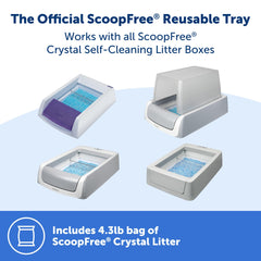 PetSafe ScoopFree cristal-litière absorption rapide pour un espace propre.