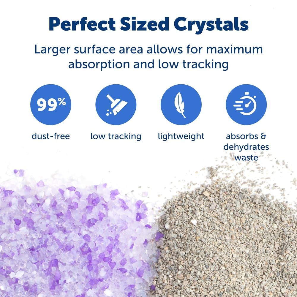 Cristaux PetSafe ScoopFree absorbants accélèrent l’assèchement des liquides.