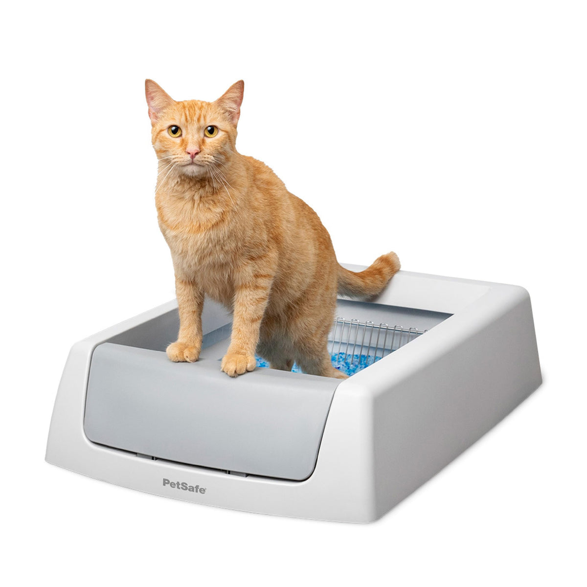 PetSafe ScoopFree Crystal Classic: boîte litière réduction durable des odeurs
