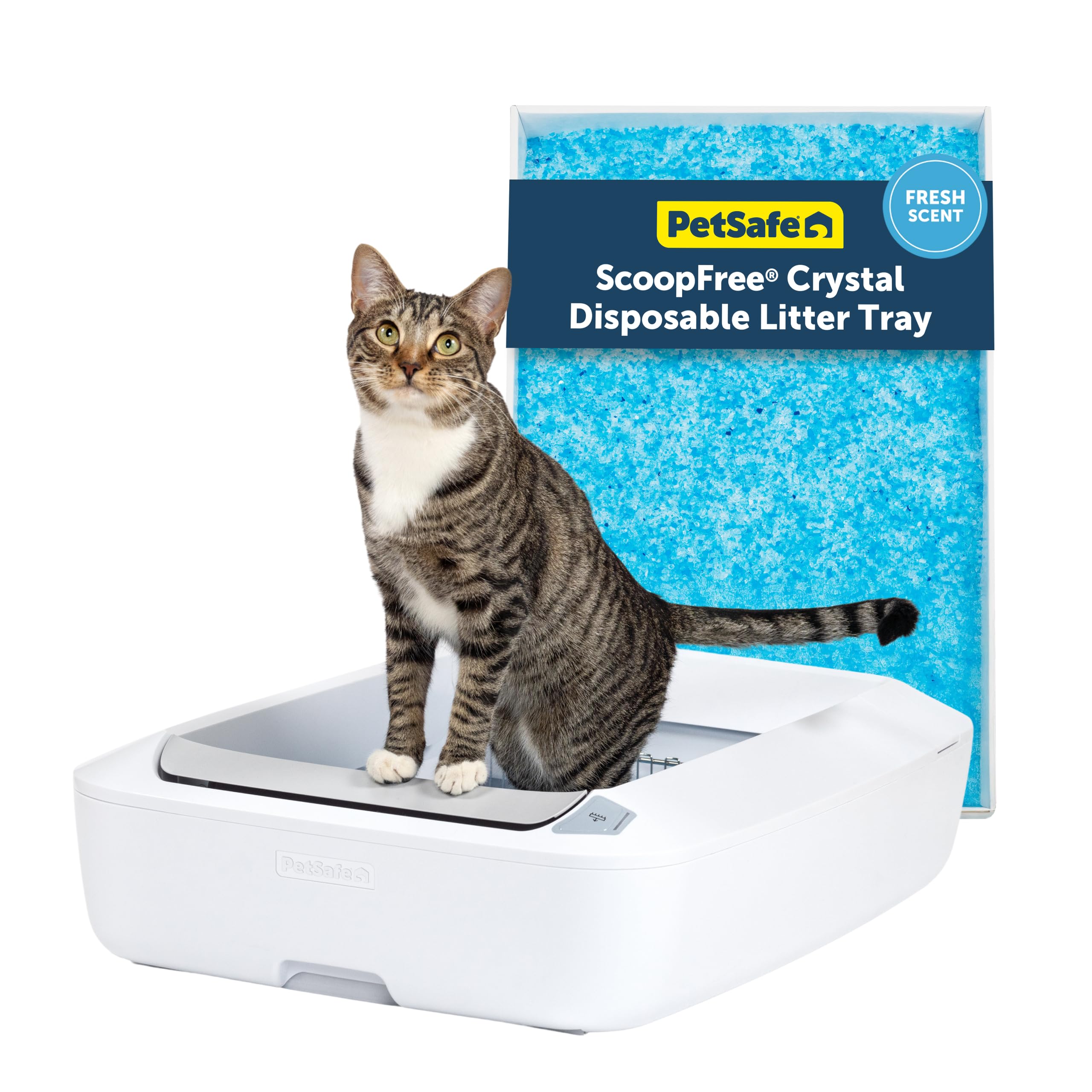 PetSafe ScoopFree Crystal Plus montre sa boîte-litière auto-nettoyante ouverte