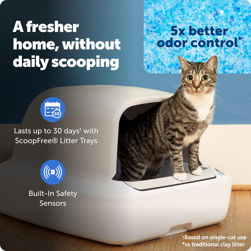 PetSafe ScoopFree Crystal Pro — capot-intime: intimité du chat et réduction des traces.