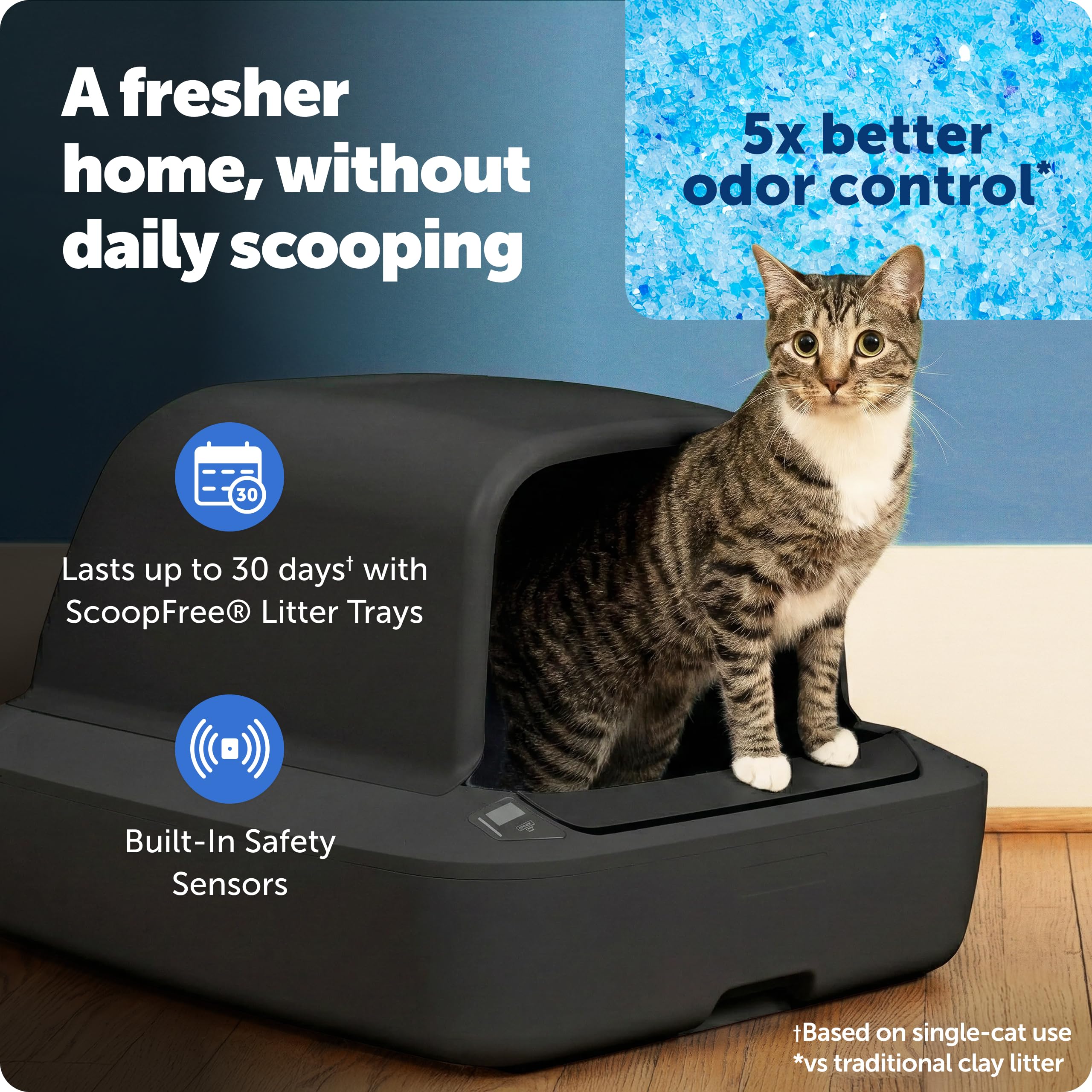 PetSafe ScoopFree Crystal Pro, entrée frontale: accès pratique et propreté durable.