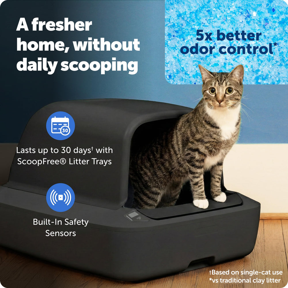 PetSafe ScoopFree Crystal Pro, entrée frontale: accès pratique et propreté durable.