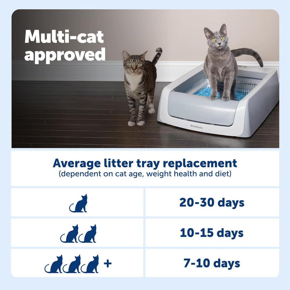 Installation rapide PetSafe ScoopFree pour démarrage immédiat