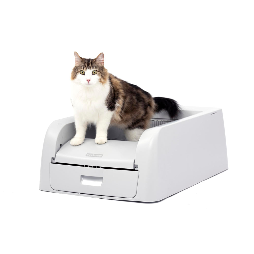 PetSafe ScoopFree: litière automatique pour nettoyage mains libres et odeurs maîtrisées.