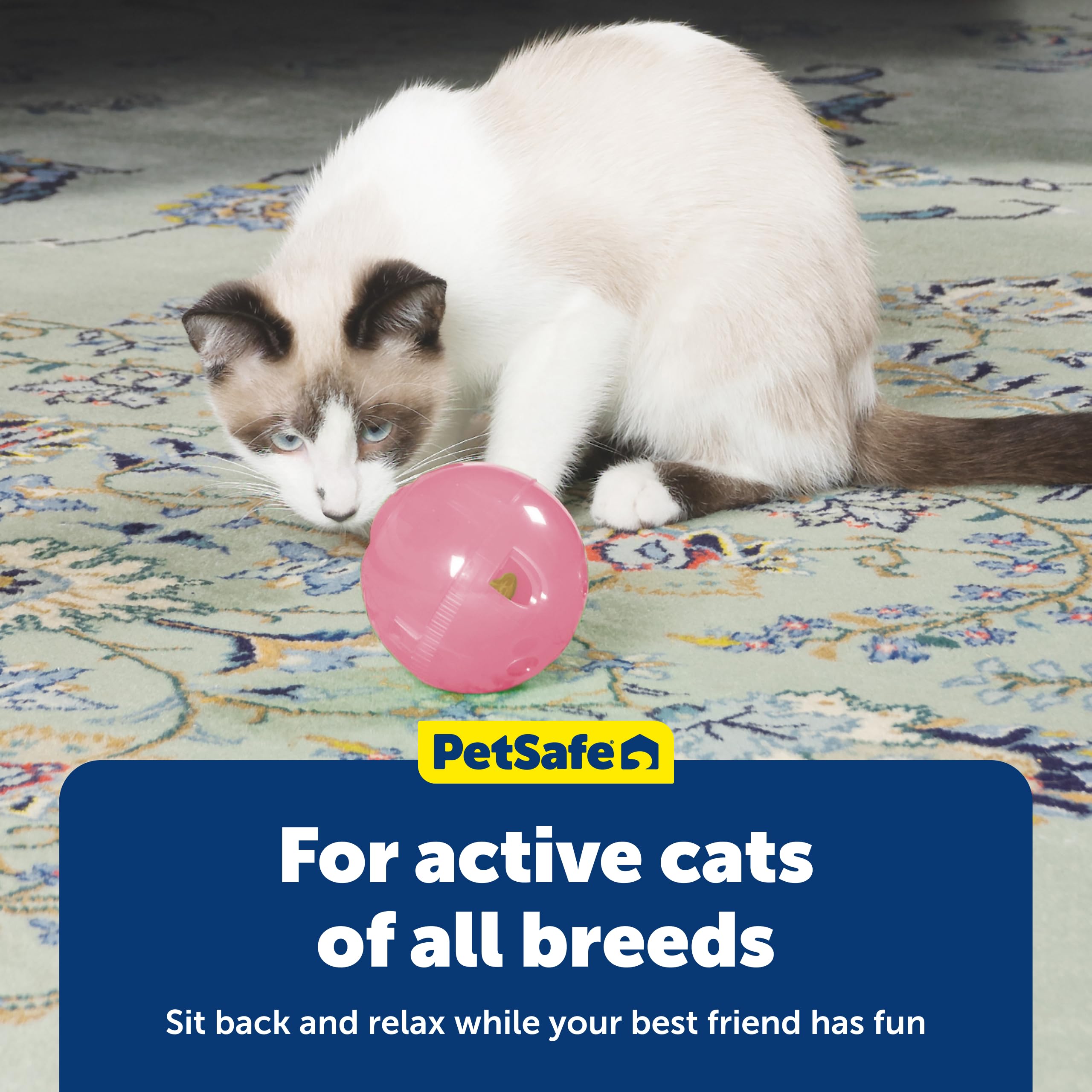 PetSafe SlimCat ideal pour chat d interieur, combine jeu et repas.
