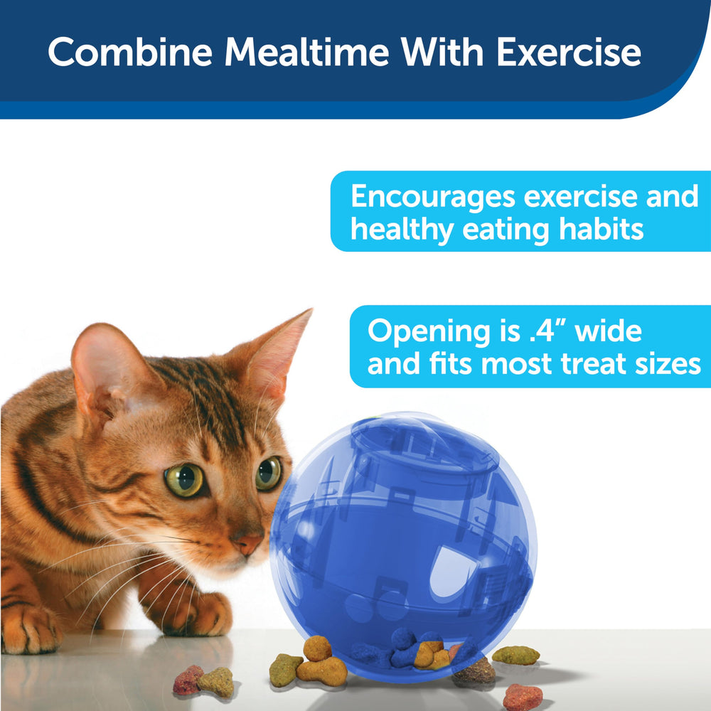 PetSafe SlimCat: lave-vaisselle compatible, entretien rapide après chaque session ludique.