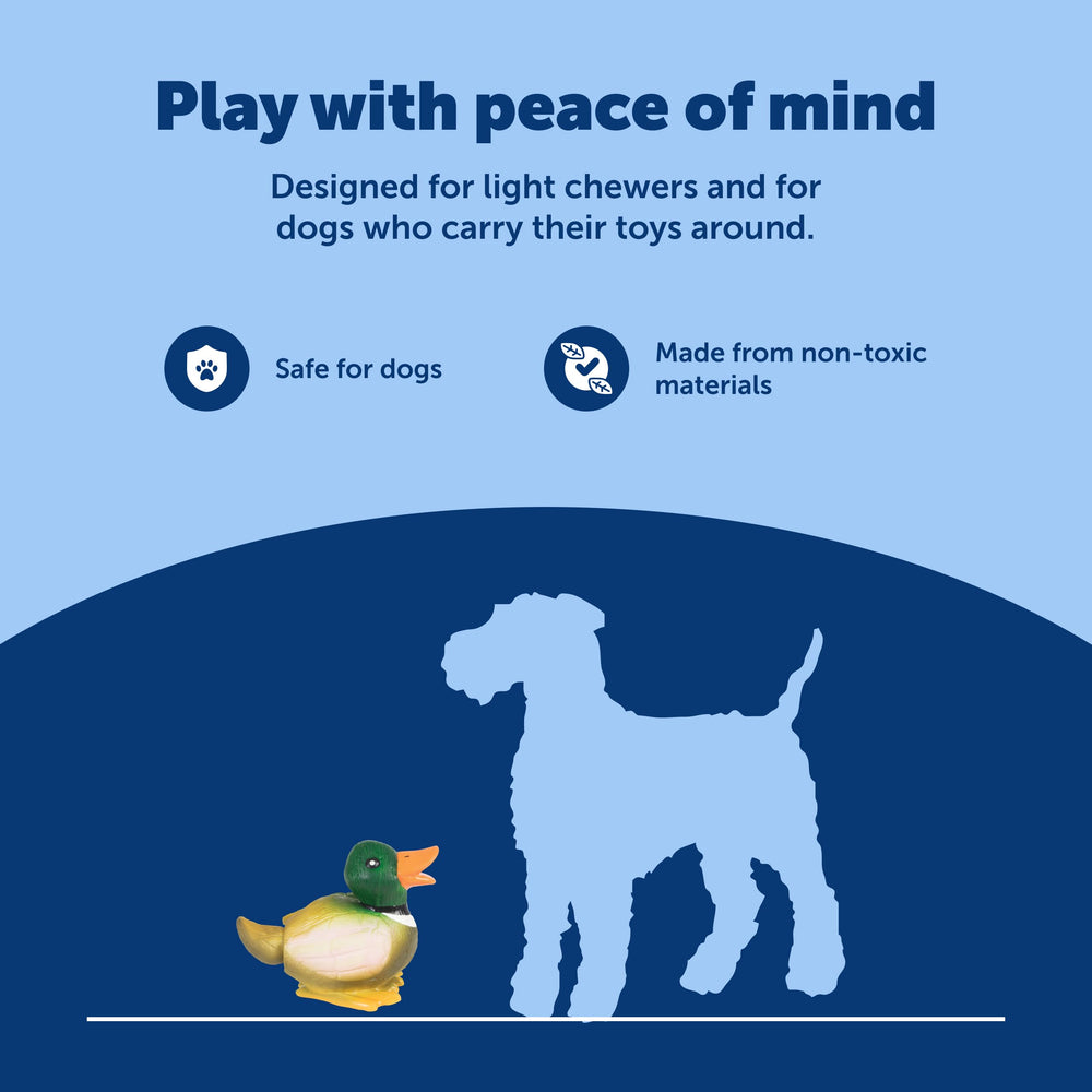 PetSafe Squeeze Meeze canard-jeu-plein-air, parfait pour l'extérieur et l'entraînement