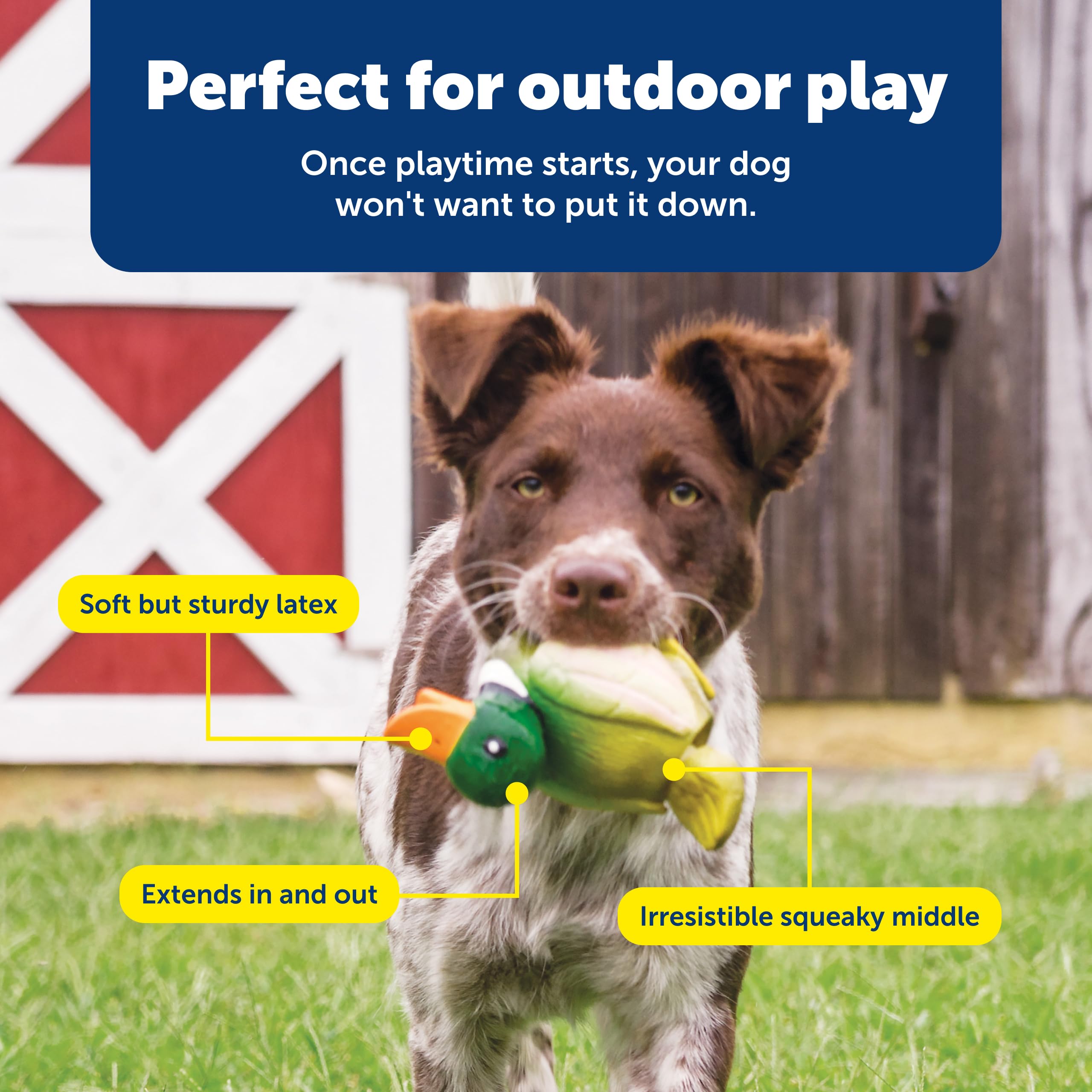 PetSafe Squeeze Meeze canard-main-en-main, facile à manipuler pendant le jeu