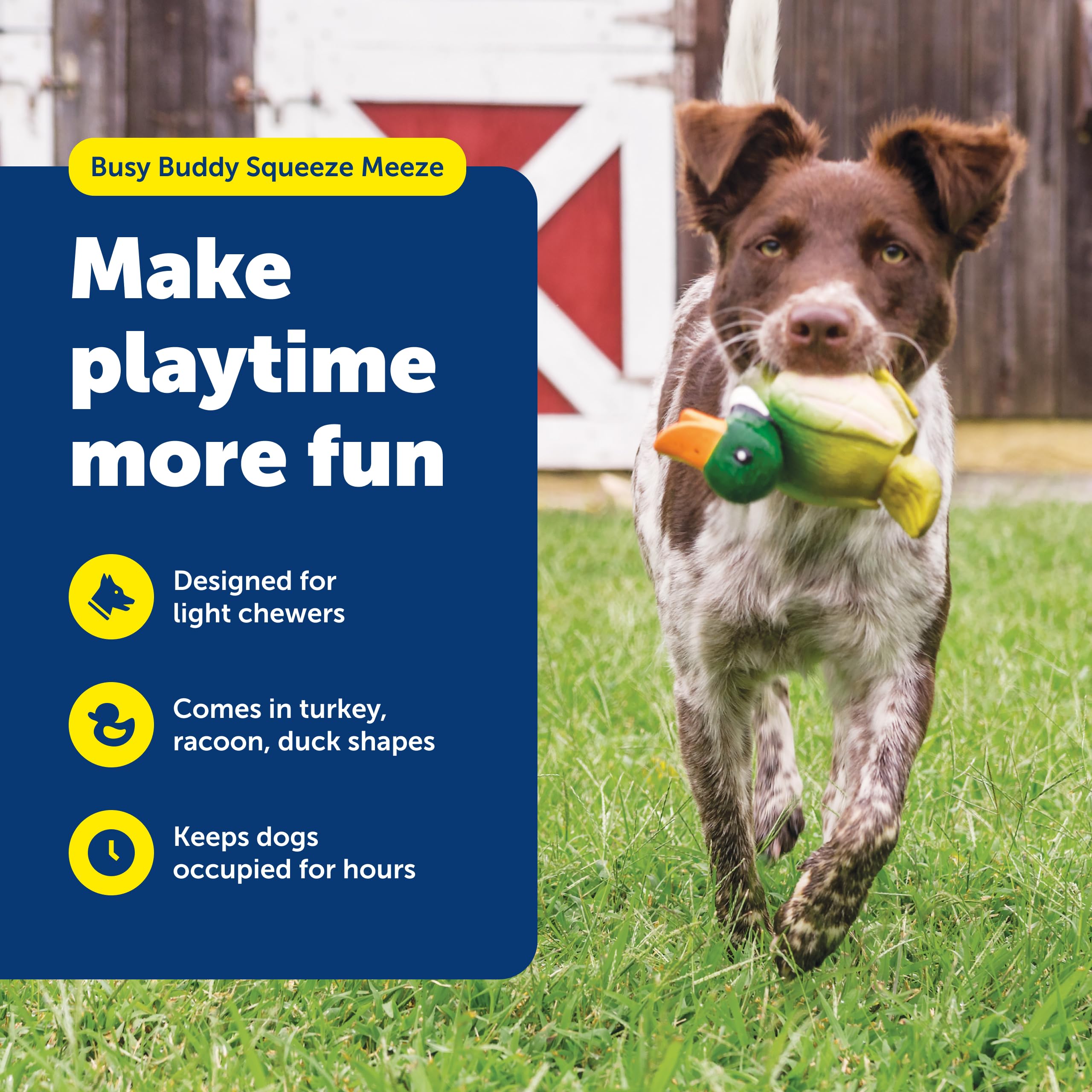 PetSafe Squeeze Meeze canard-queue-bouge, stimule le jeu chez les chiens