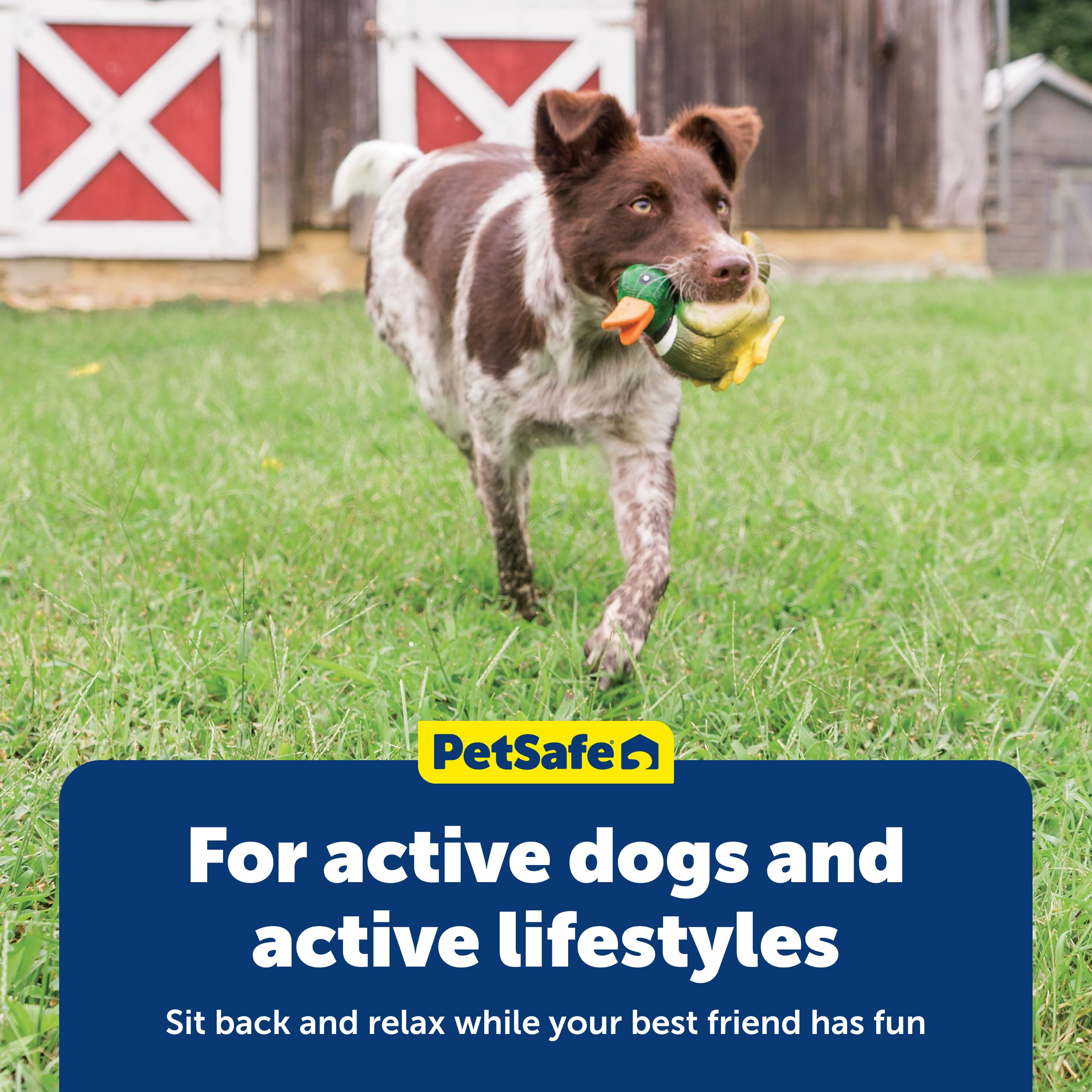 PetSafe Squeeze Meeze trio-jouets, ensemble à collectionner pour plus de variété
