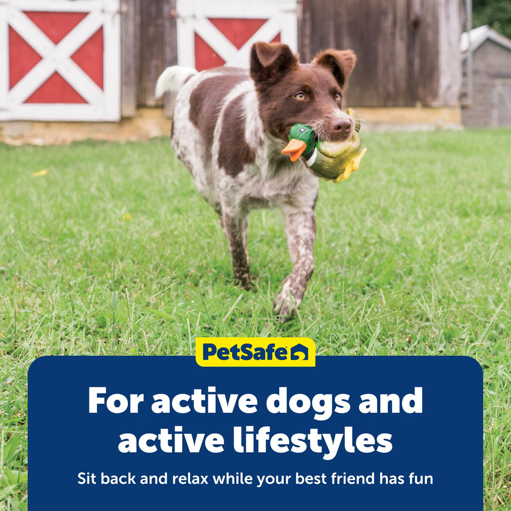 PetSafe Squeeze Meeze trio-jouets, ensemble à collectionner pour plus de variété