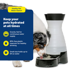 PetSafe Station d’eau saine – bol inox amovible pour hygiène rapide.