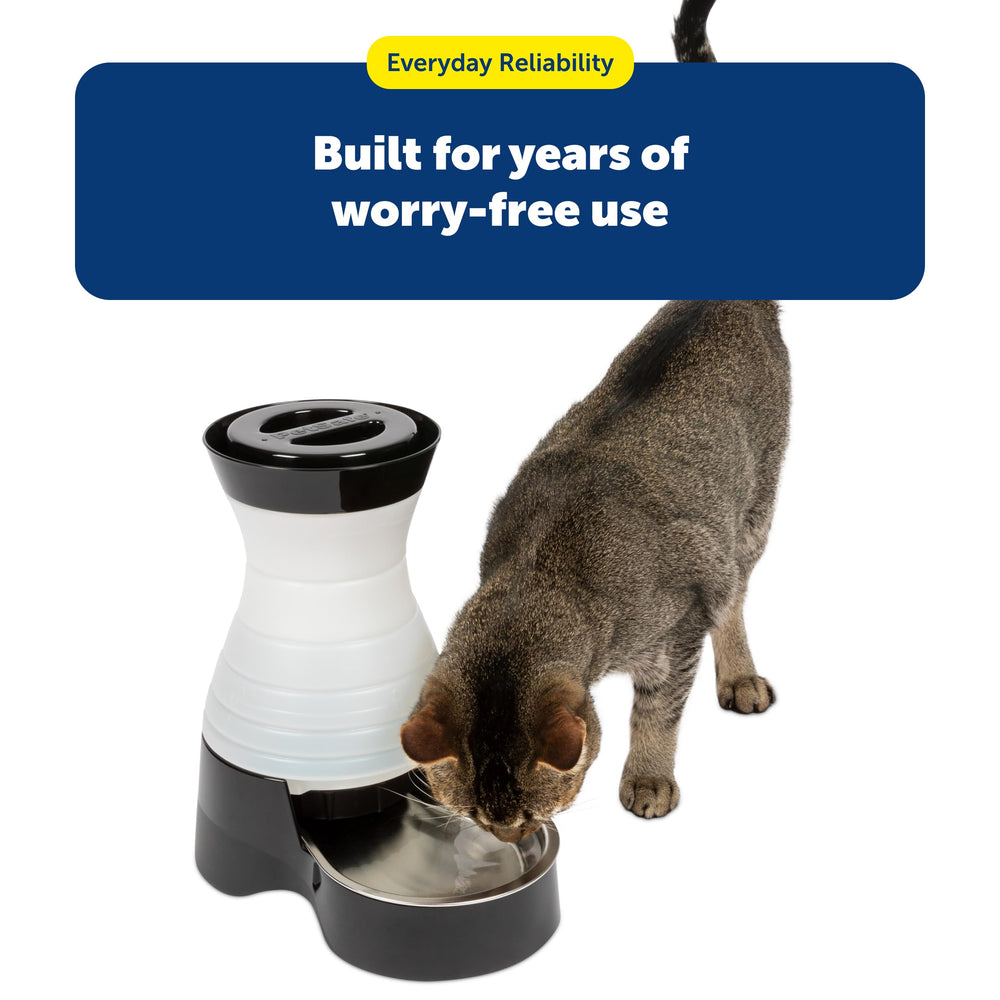 PetSafe Station d’eau saine – conception durable adaptée à la vie quotidienne.