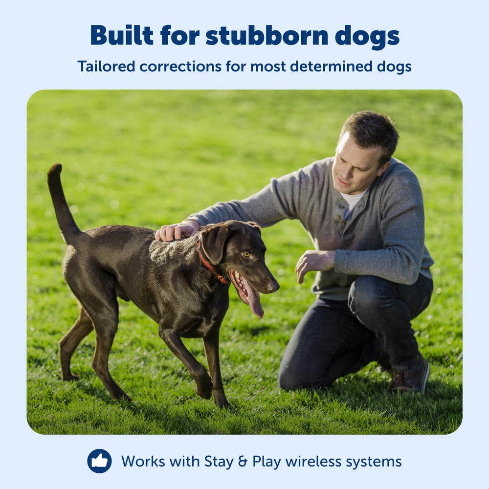 PetSafe Stay & Play : émetteur d'entraînement facile à installer.
