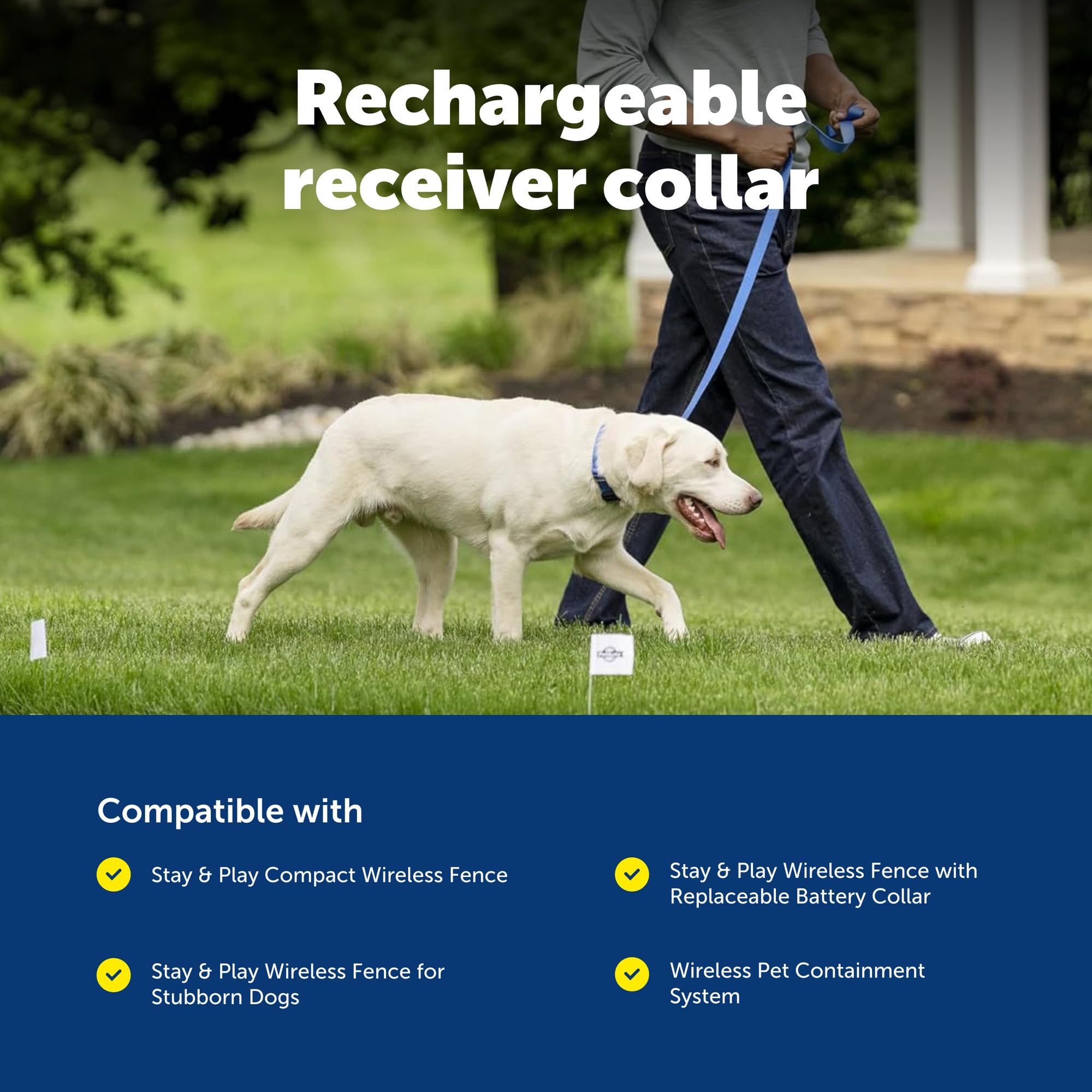 Compatibilité PetSafe pour plusieurs chiens avec le système sans fil.