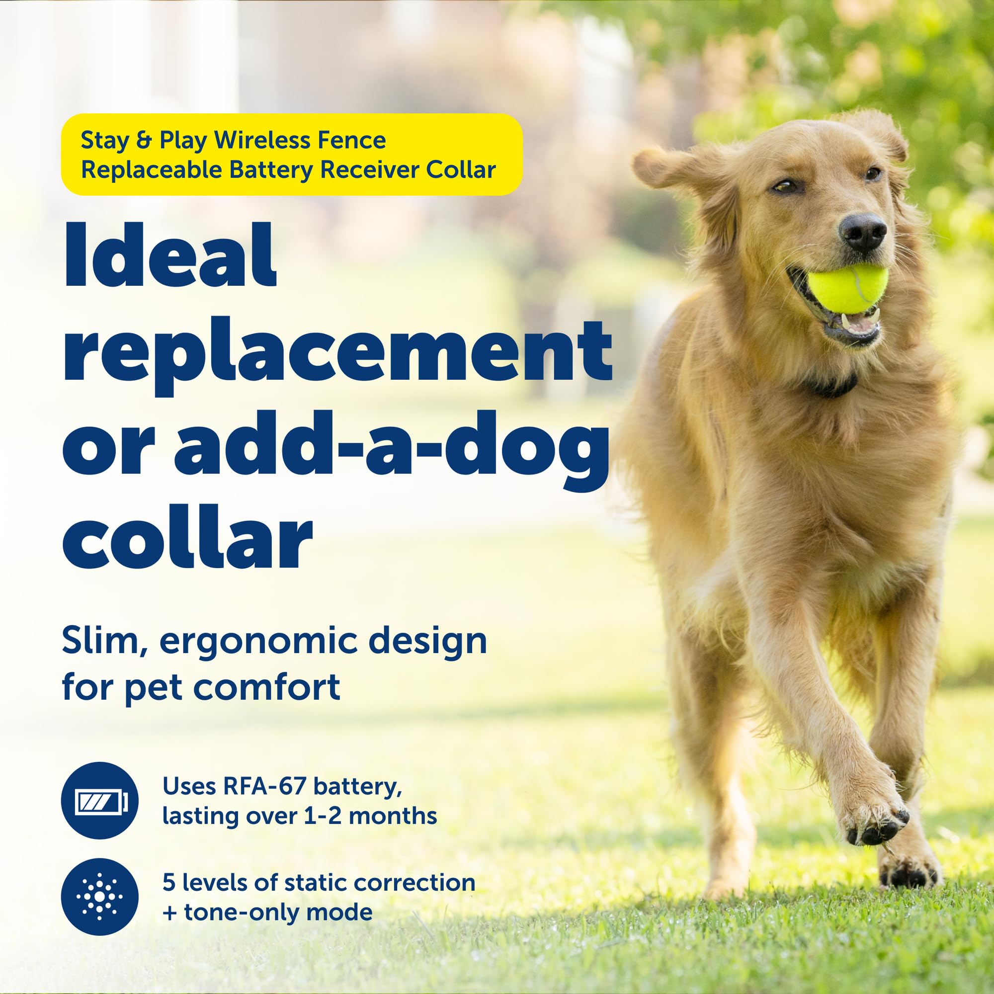 Collier récepteur étanche de PetSafe Stay et Play, conçu pour le confort et l’endurance.