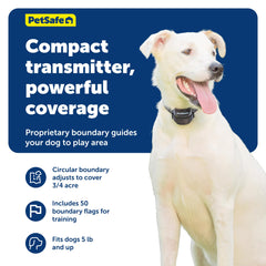 Collier récepteur étanche PetSafe Stay et Play avec batterie remplaçable