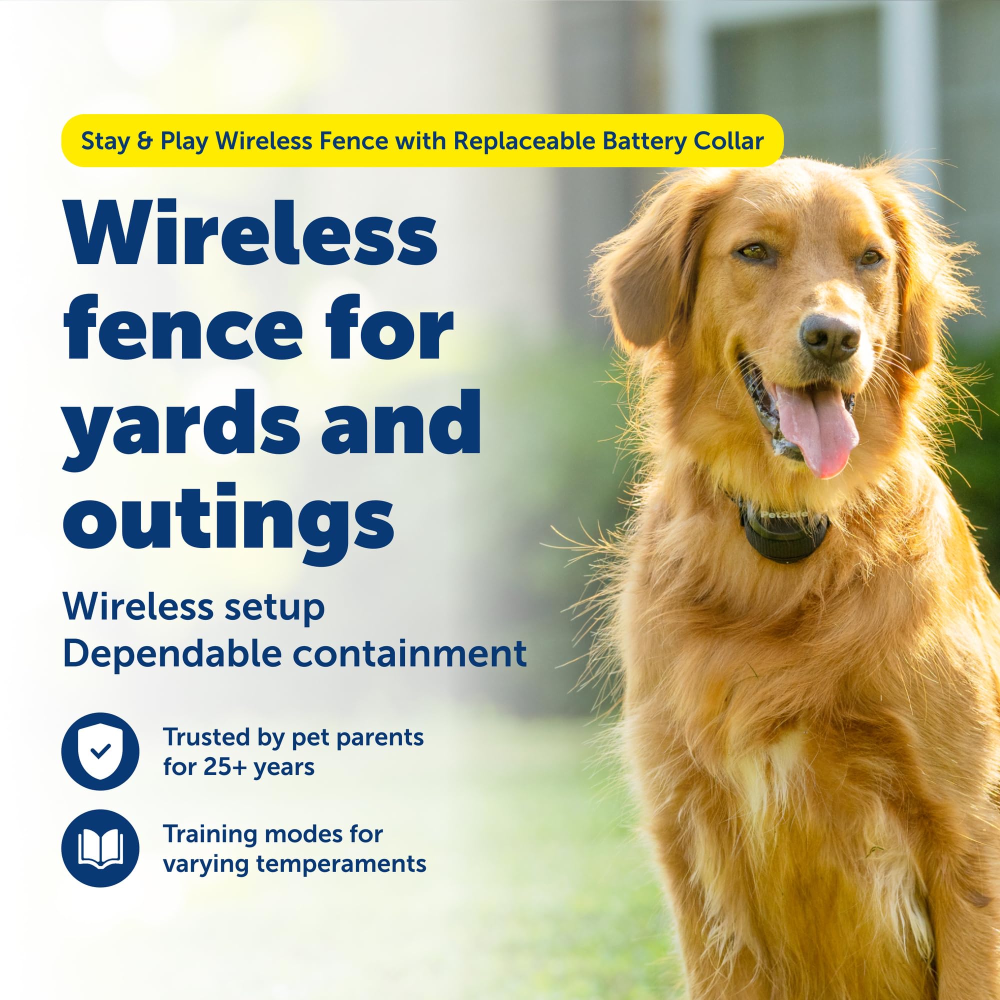 PetSafe Stay & Play drapeaux de délimitation marquant clairement les bordures