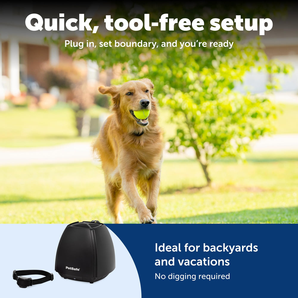 Tour de cou réglable PetSafe Stay et Play pour toutes tailles