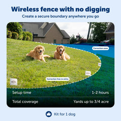 Collier récepteur PetSafe Stay & Play, étanche et rechargeable pour chiens.