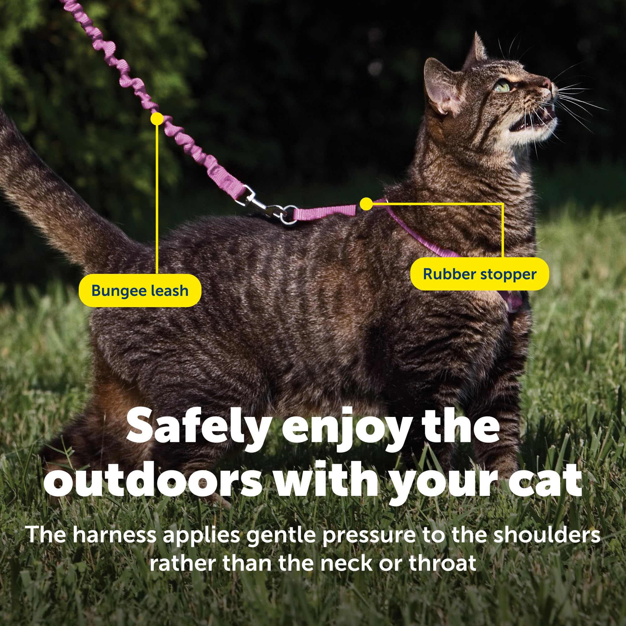 Tailles et couleurs PetSafe harnais chat, ajuste parfaitement à votre compagnon.
