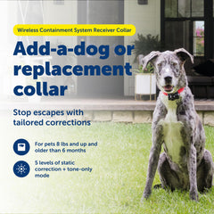 PetSafe transmetteur sans fil, configuration rapide pour délimiter le périmètre.