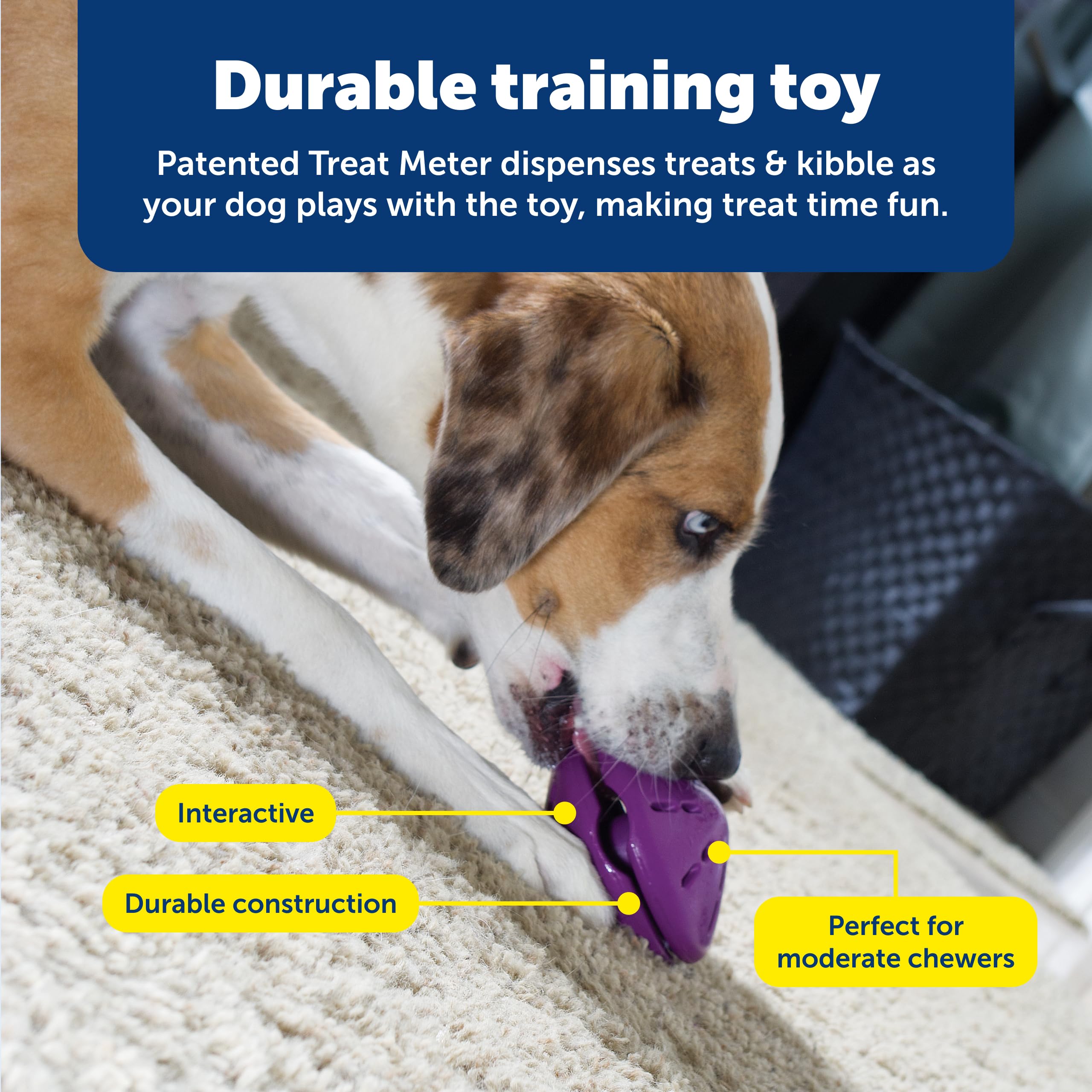 PetSafe Twist'n Treat utilisation pour alimentation lente