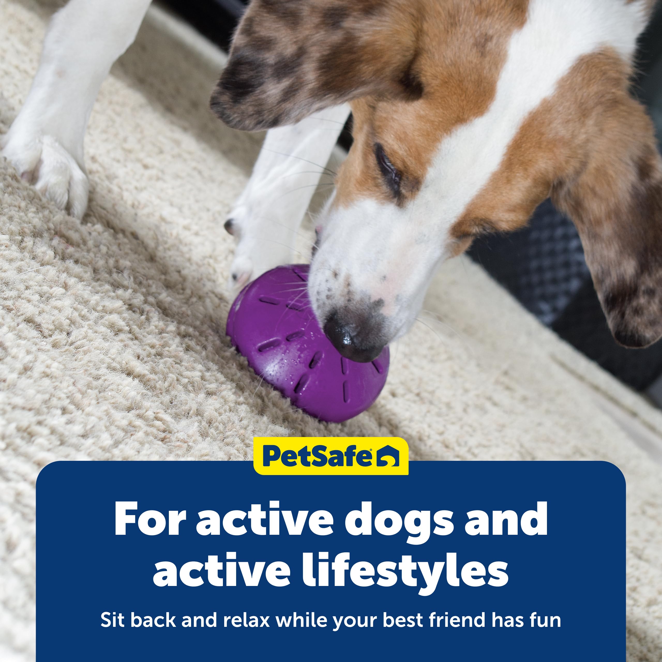 PetSafe Twist'n Treat lavage vaisselle compatible pour nettoyage rapide