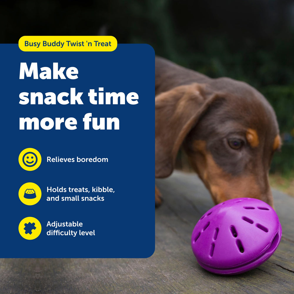 PetSafe Twist'n Treat en caoutchouc durable résistant au mordillement