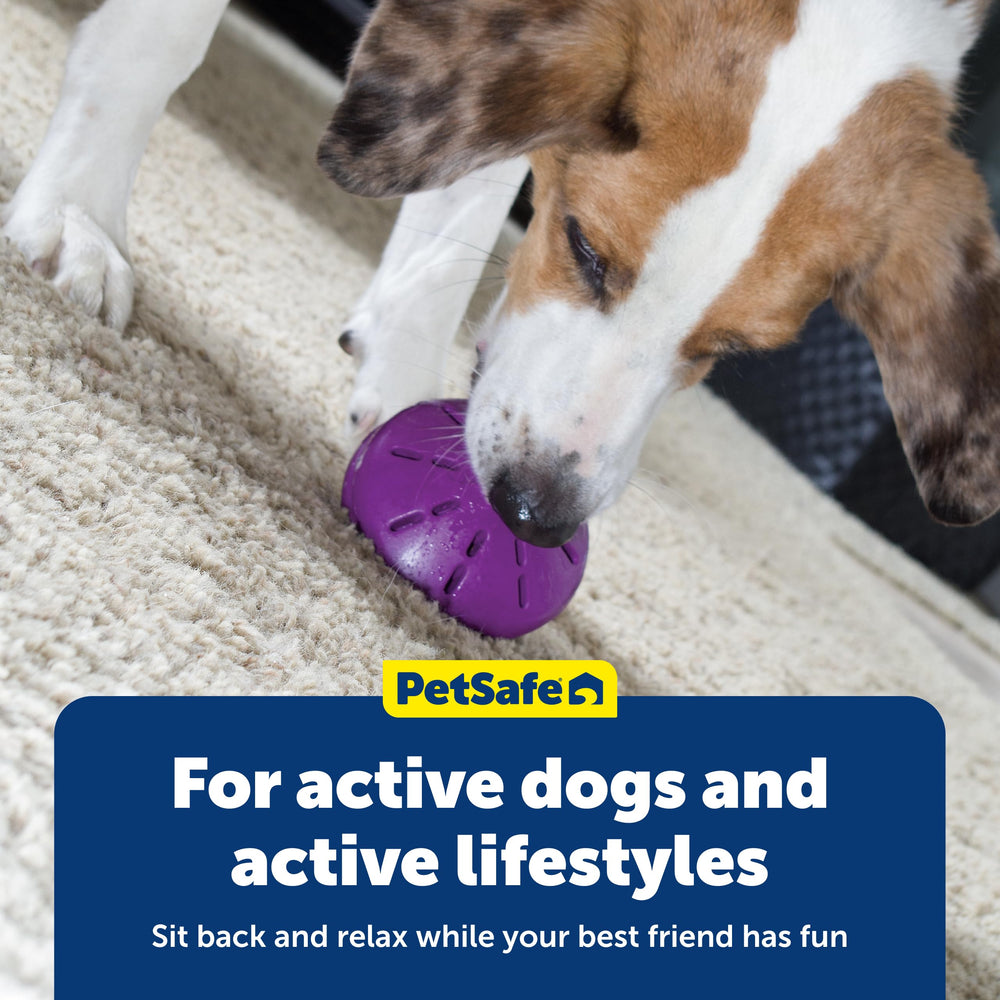 PetSafe Twist'n Treat, aide potentielle à ralentir les repas et enrichir.