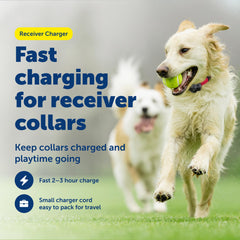 Adaptateur mural USB PetSafe pour une recharge fiable à domicile.