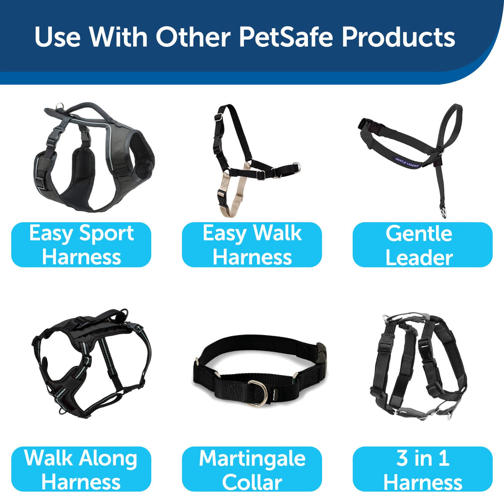 Promenades quotidiennes en toute confiance avec la laisse PetSafe.