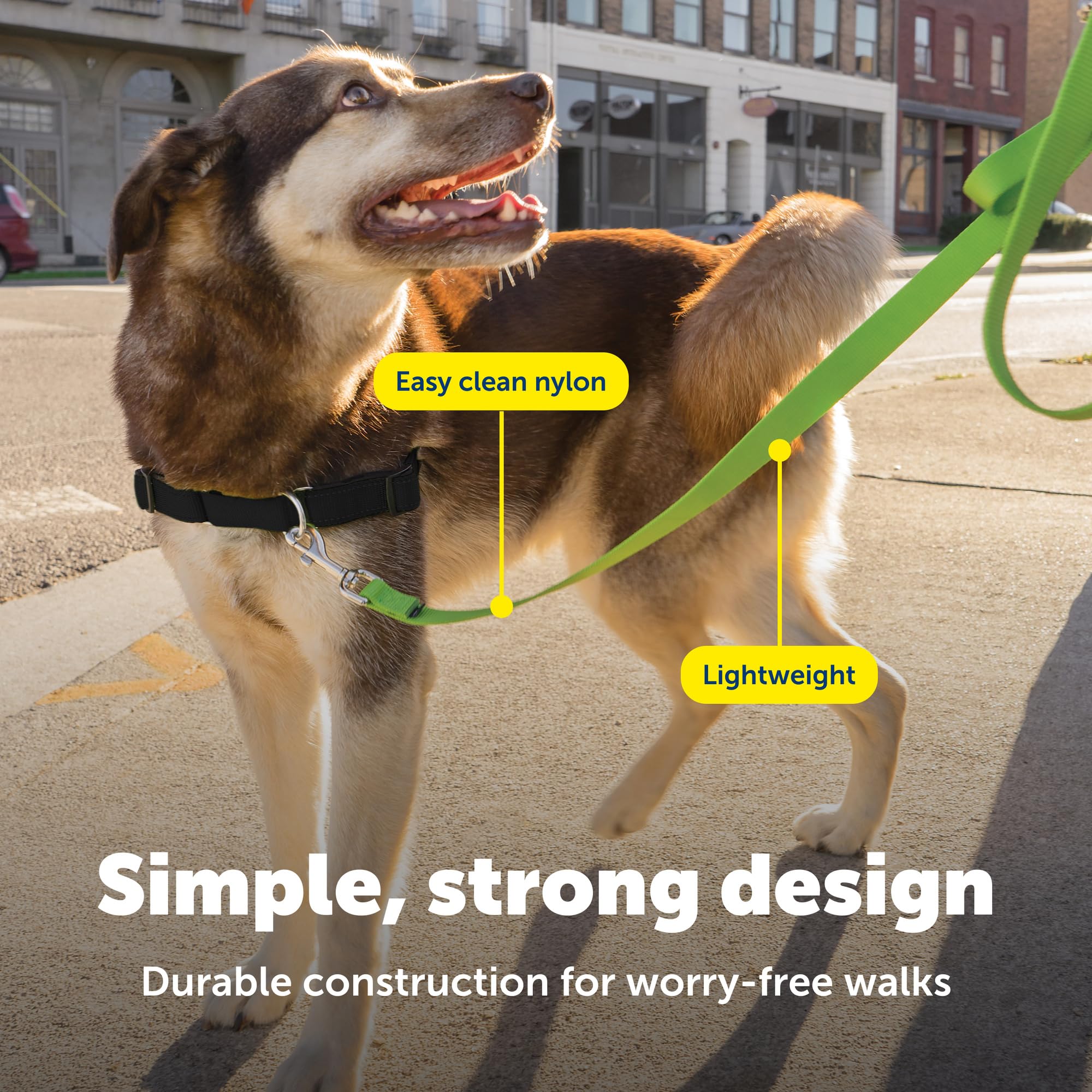 PetSafe Utilisation quotidienne, idéale au parc ou en quartier.