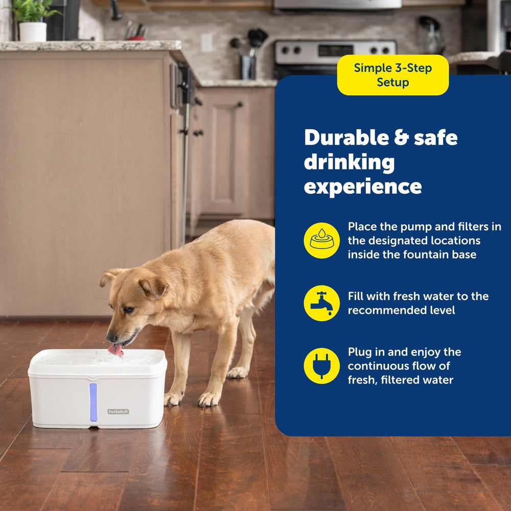 PetSafe Viva fontaine design silencieux favorisant l'hydratation des animaux timides.