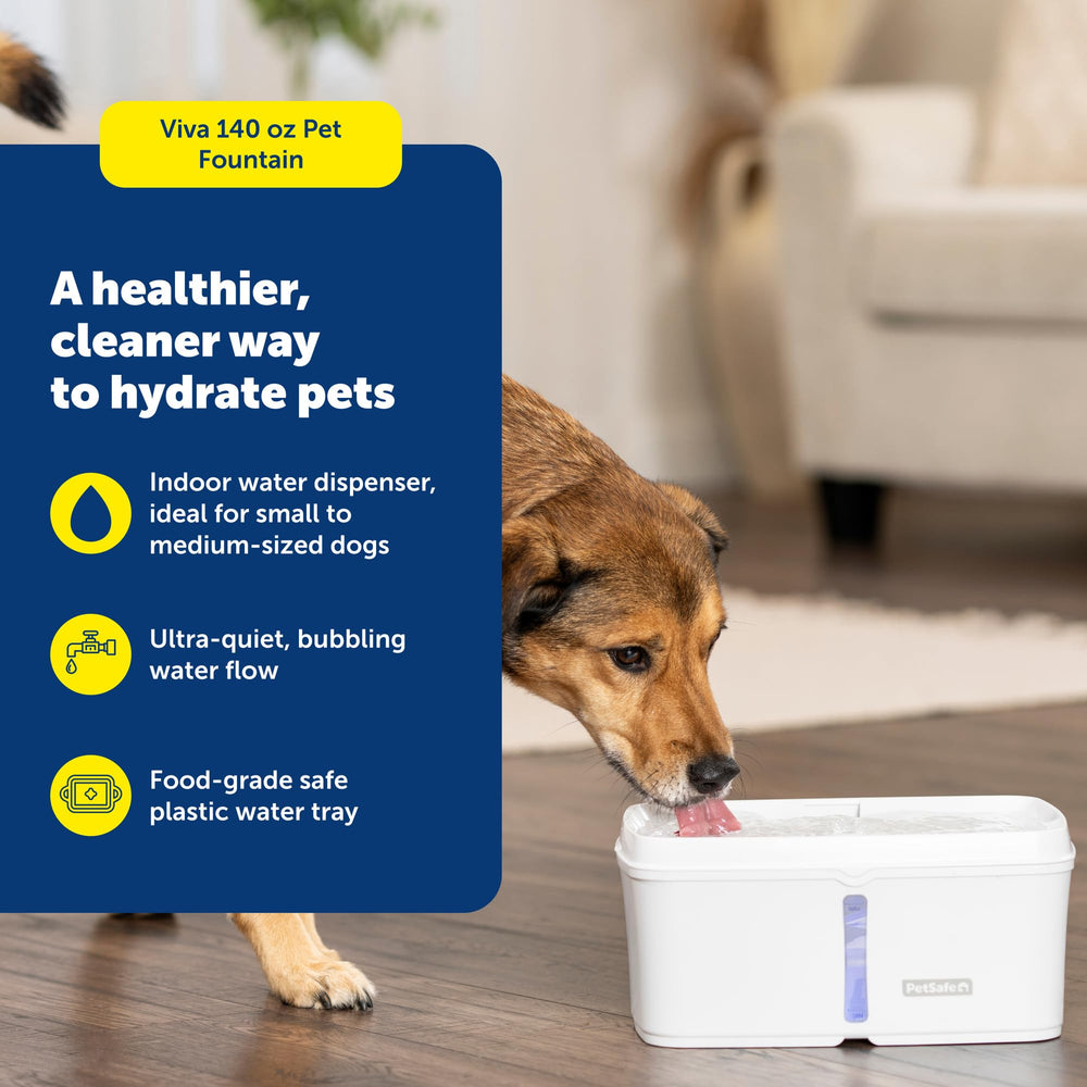 PetSafe Viva fontaine avec filtration double offrant eau plus agréable.