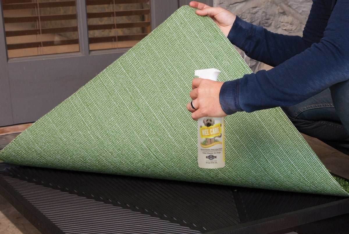 PetSafe Wee Care: poudre Wee Sponge absorbante pour liquides et odeurs