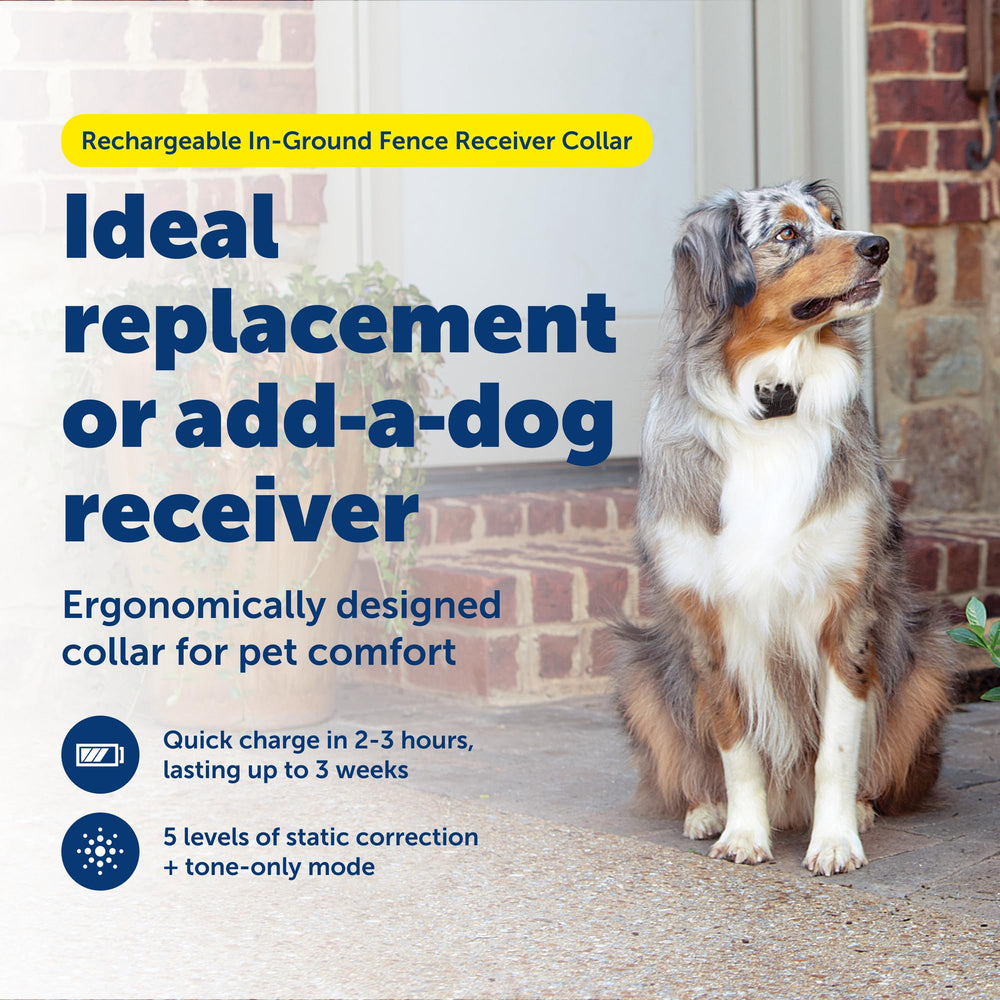 PetSafe YardMax charge rapide du collier récepteur.