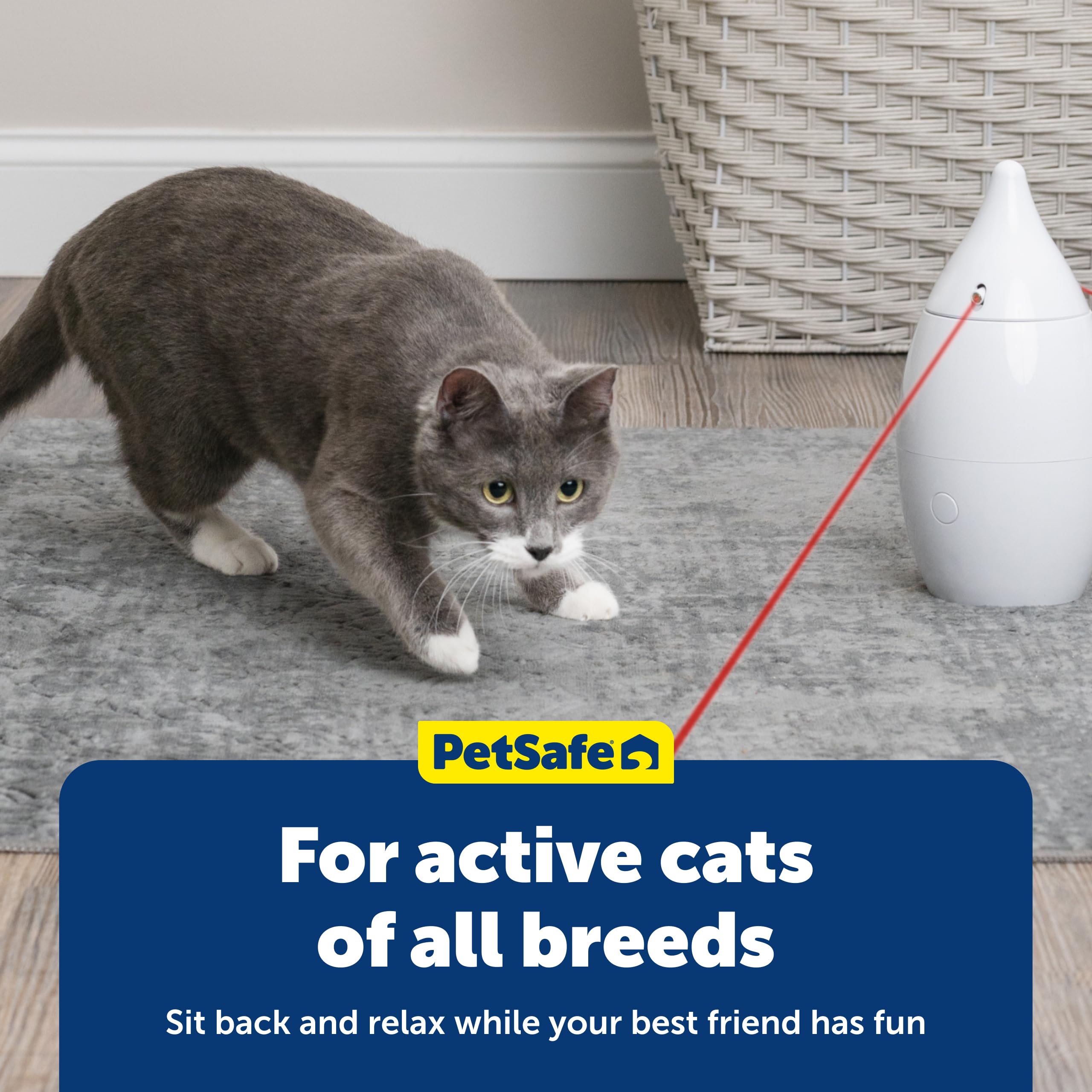 PetSafe Zoom fonctionnant avec piles AA, sans fil et pratique.