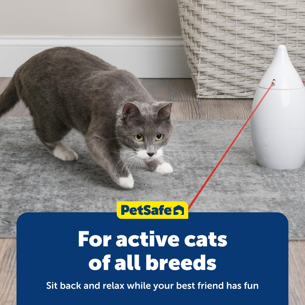 PetSafe Zoom fonctionnant avec piles AA, sans fil et pratique.