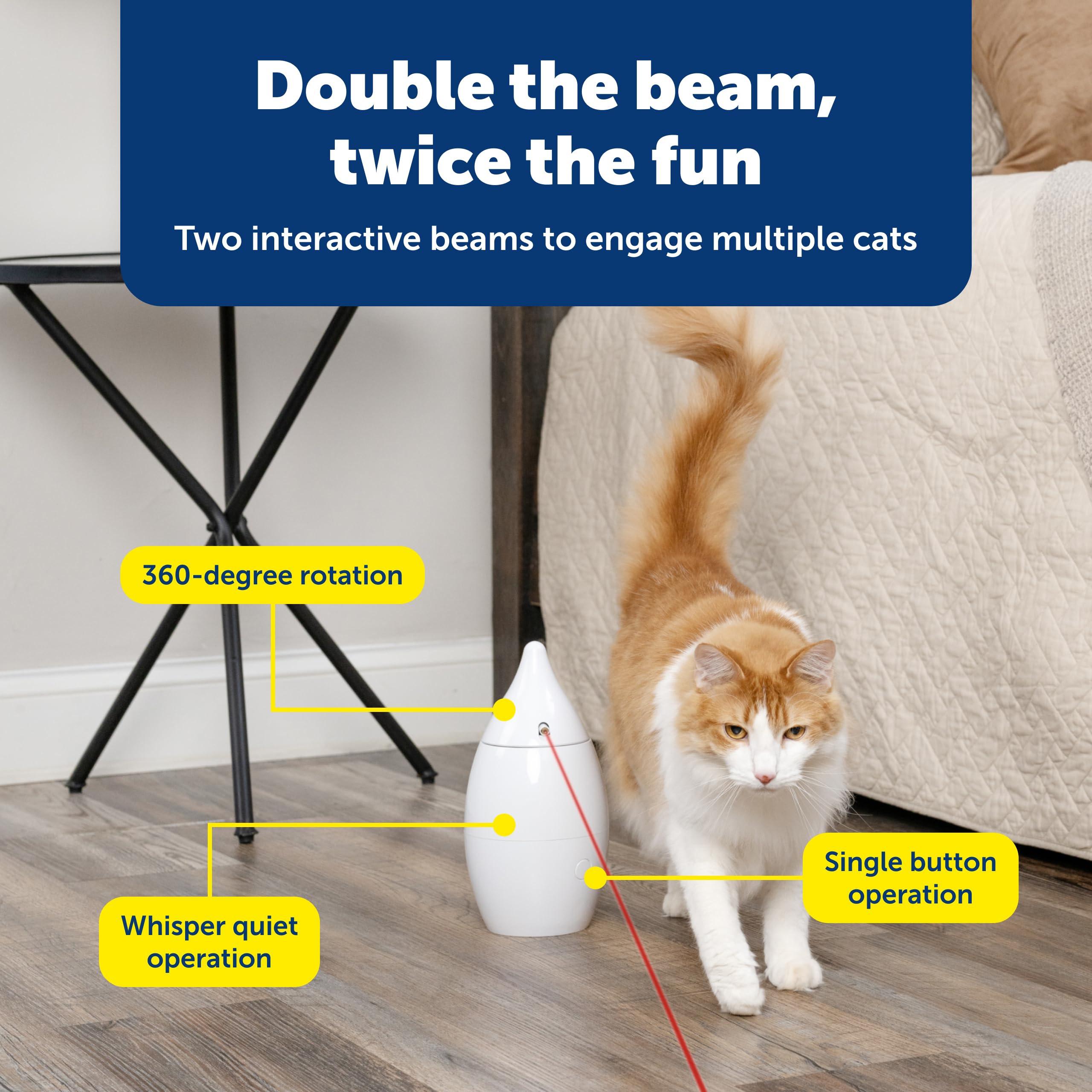 PetSafe Zoom: idéal pour divertir plusieurs chats sans fil.