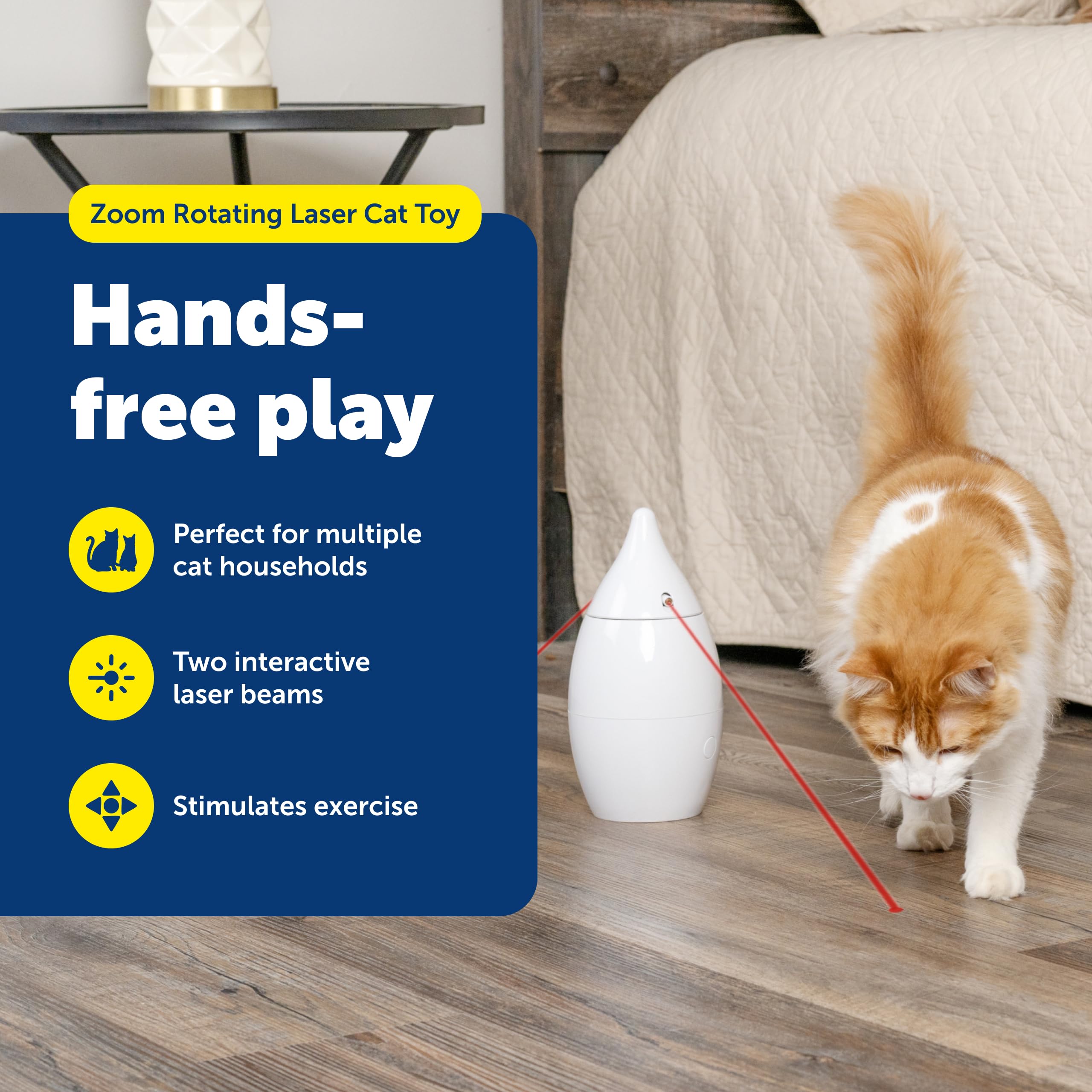 Jouet silencieux PetSafe Zoom favorisant sessions calmes et sans sursaut.