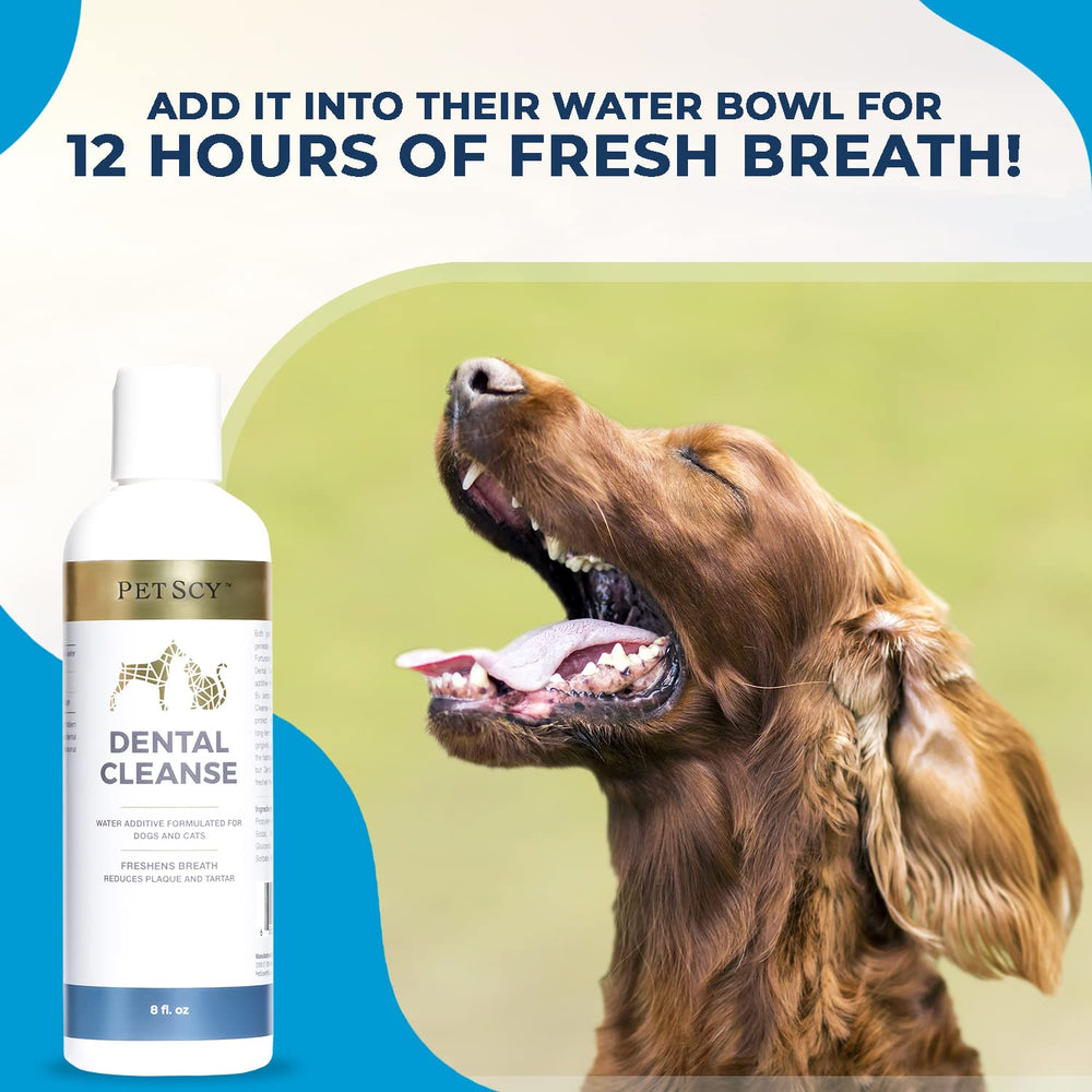 Petscy Dental Cleanse — mélange à l’eau du chien, haleine plus fraîche.